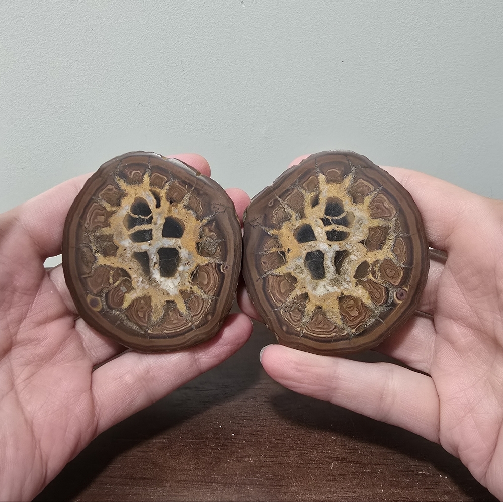 Septarian Crystal Nodule Specimen (pair)